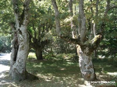 Parque Natural Gorbeia - Hayedo de Altube - Cascada de Gujuli;viajes con amigos turismo naturaleza e